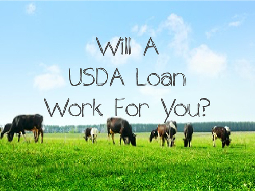 Would A USDA Loan Work For You?